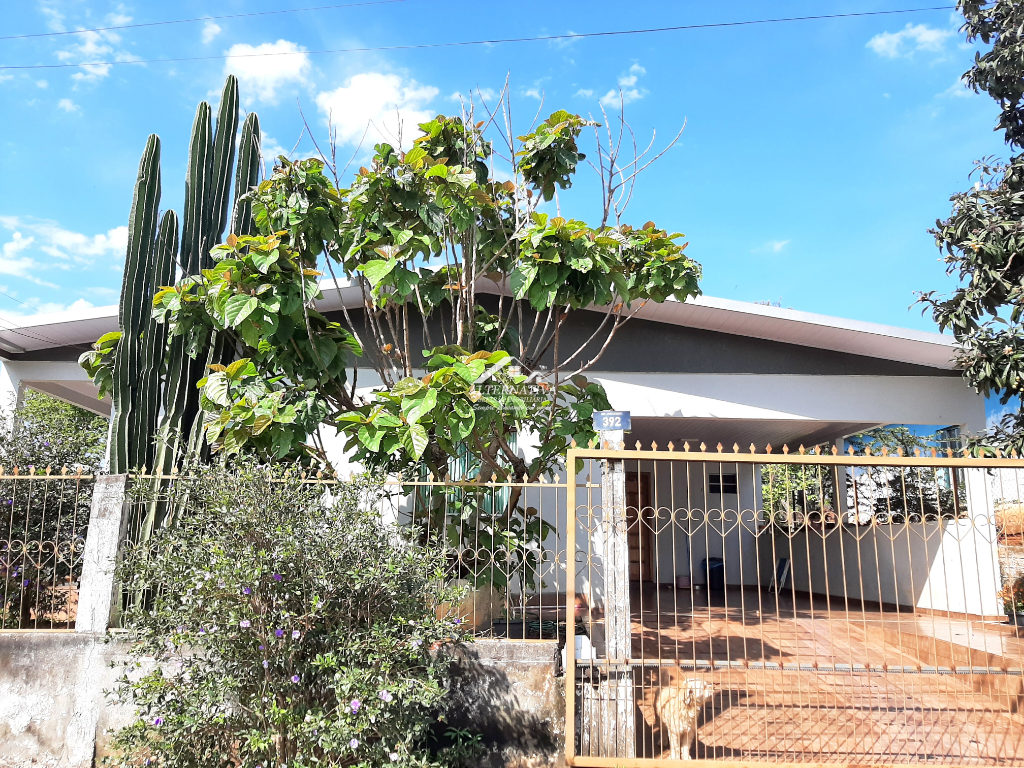 Alternativa Imveis - Imobiliria em Francisco Beltro PR