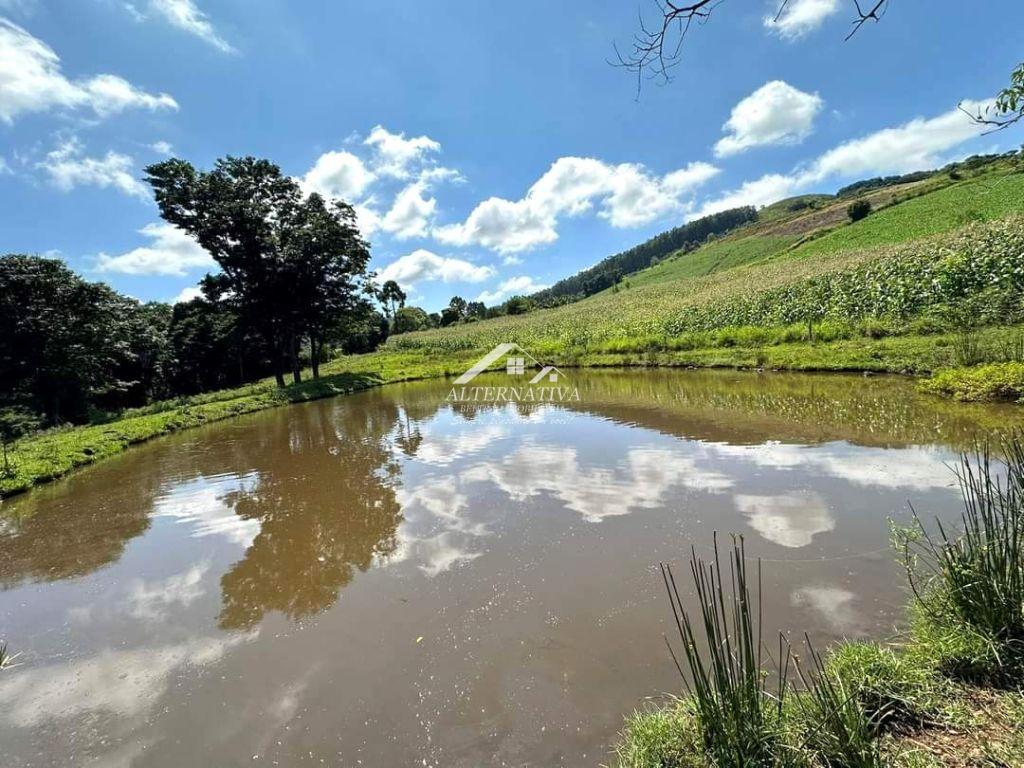 Alternativa Imóveis - Imobiliária em Francisco Beltrão PR
