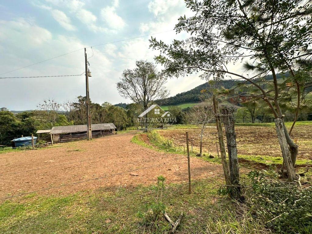 Alternativa Imóveis - Imobiliária em Francisco Beltrão PR