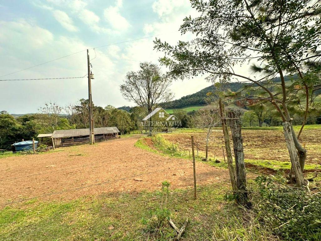Alternativa Imóveis - Imobiliária em Francisco Beltrão PR