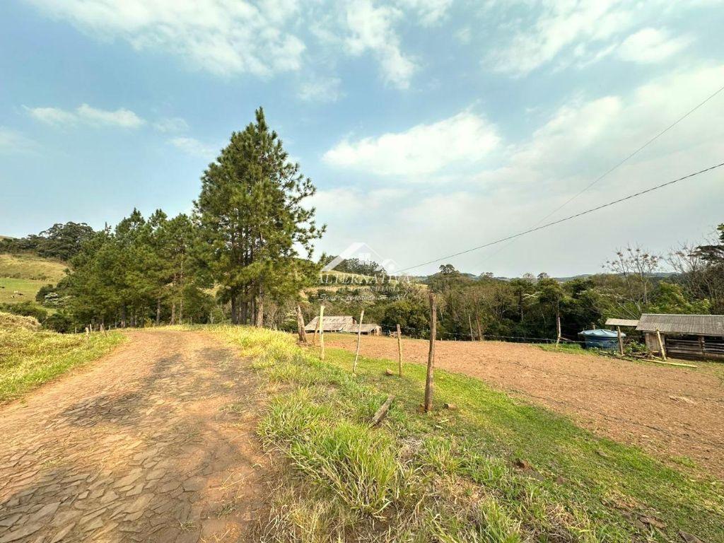 Alternativa Imóveis - Imobiliária em Francisco Beltrão PR