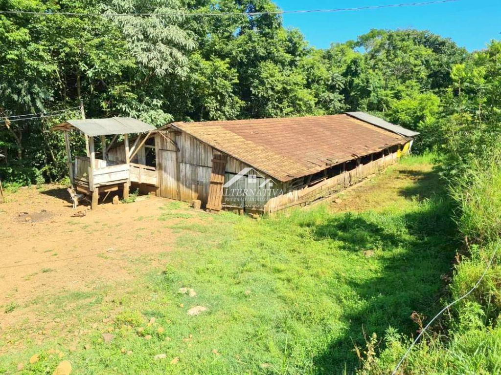 Alternativa Imóveis - Imobiliária em Francisco Beltrão PR