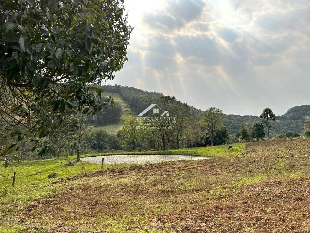Alternativa Imóveis - Imobiliária em Francisco Beltrão PR