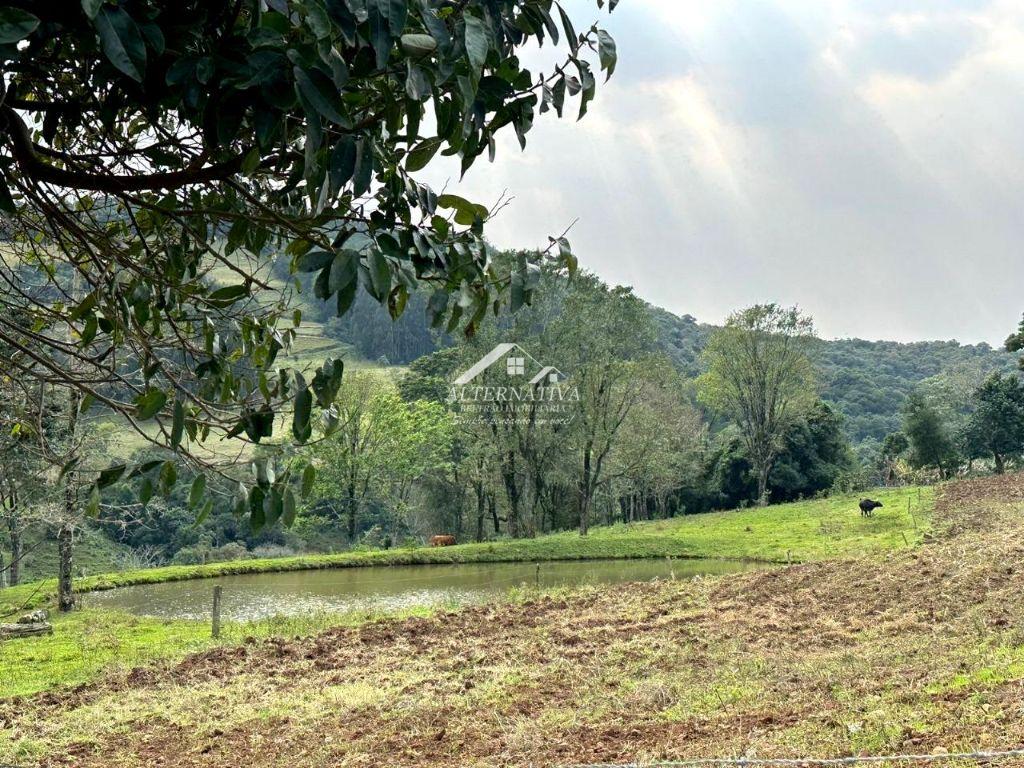 Alternativa Imóveis - Imobiliária em Francisco Beltrão PR