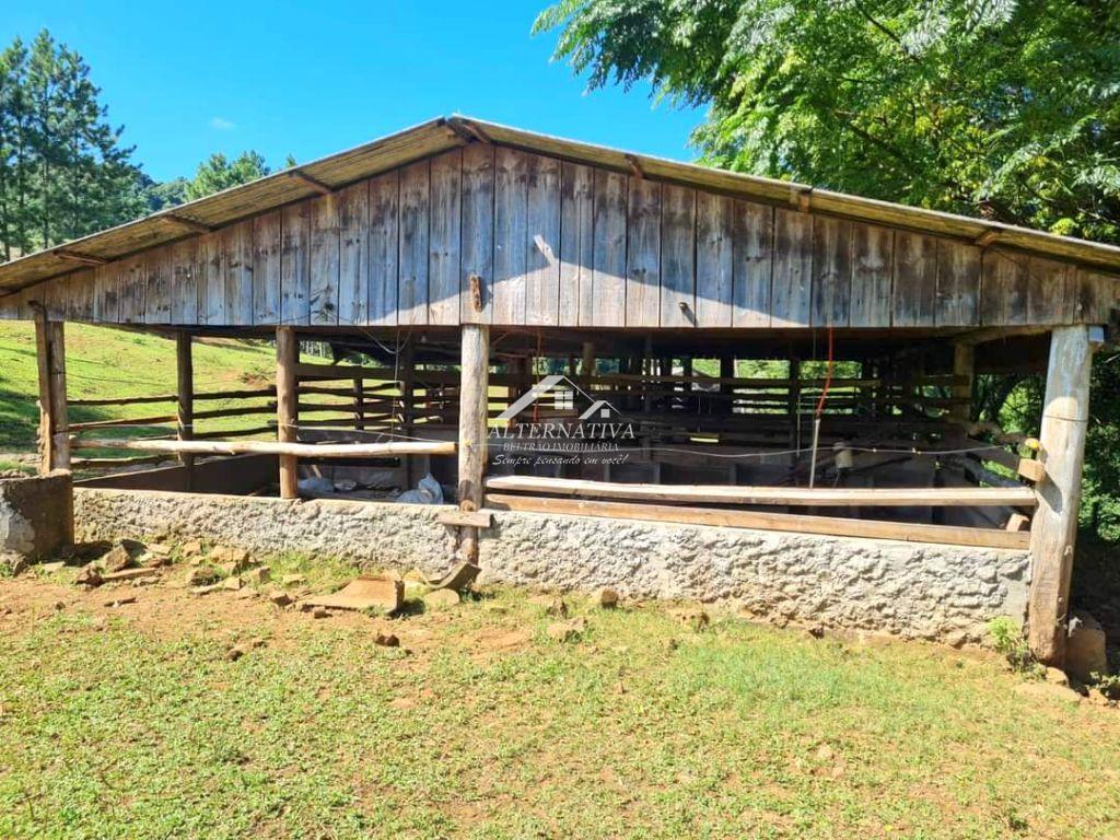 Alternativa Imóveis - Imobiliária em Francisco Beltrão PR