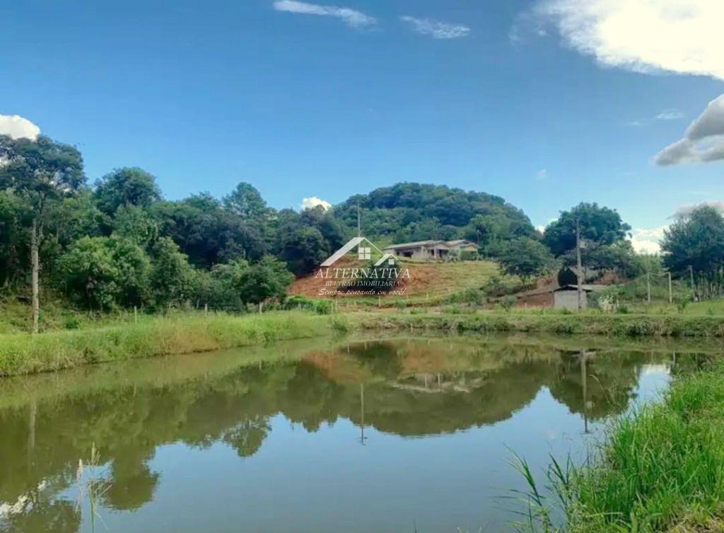 Alternativa Imveis - Imobiliria em Francisco Beltro PR
