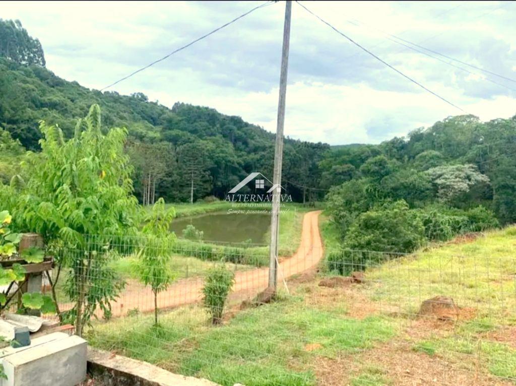 Alternativa Imveis - Imobiliria em Francisco Beltro PR