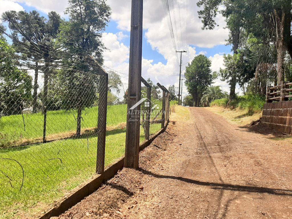 Alternativa Imveis - Imobiliria em Francisco Beltro PR