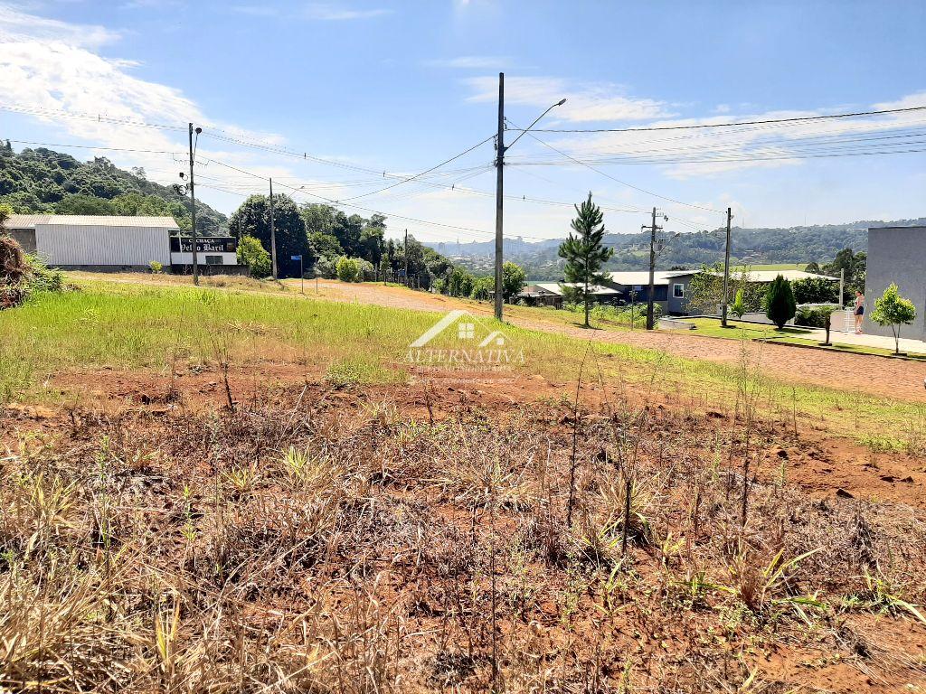 Alternativa Imveis - Imobiliria em Francisco Beltro PR