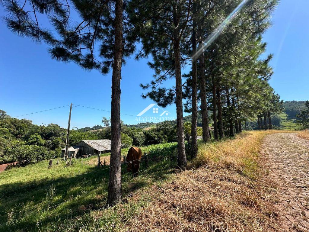 Alternativa Imóveis - Imobiliária em Francisco Beltrão PR