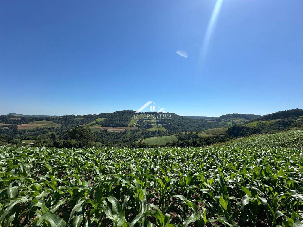 Alternativa Imóveis - Imobiliária em Francisco Beltrão PR