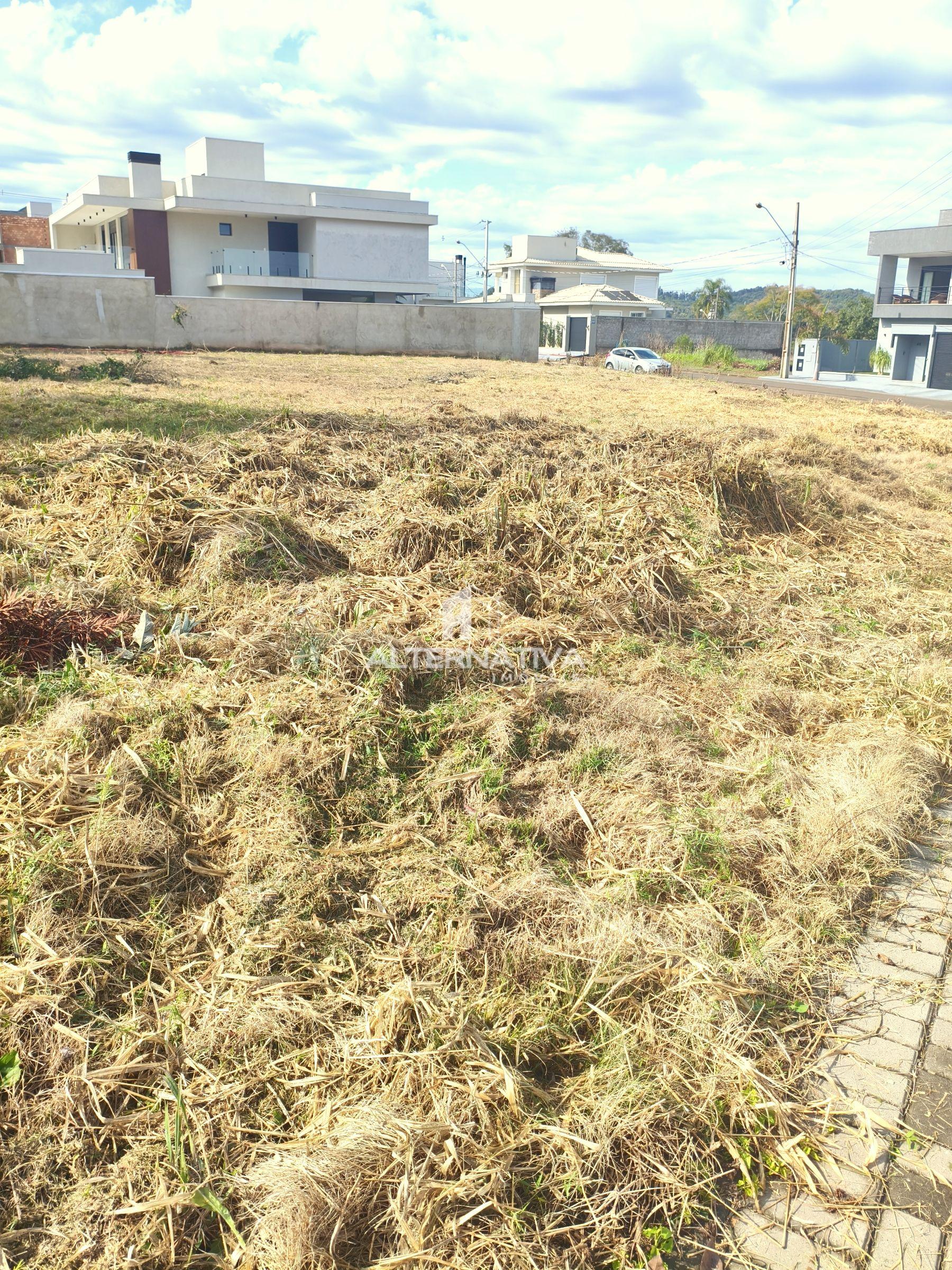 Alternativa Imveis - Imobiliria em Francisco Beltro PR