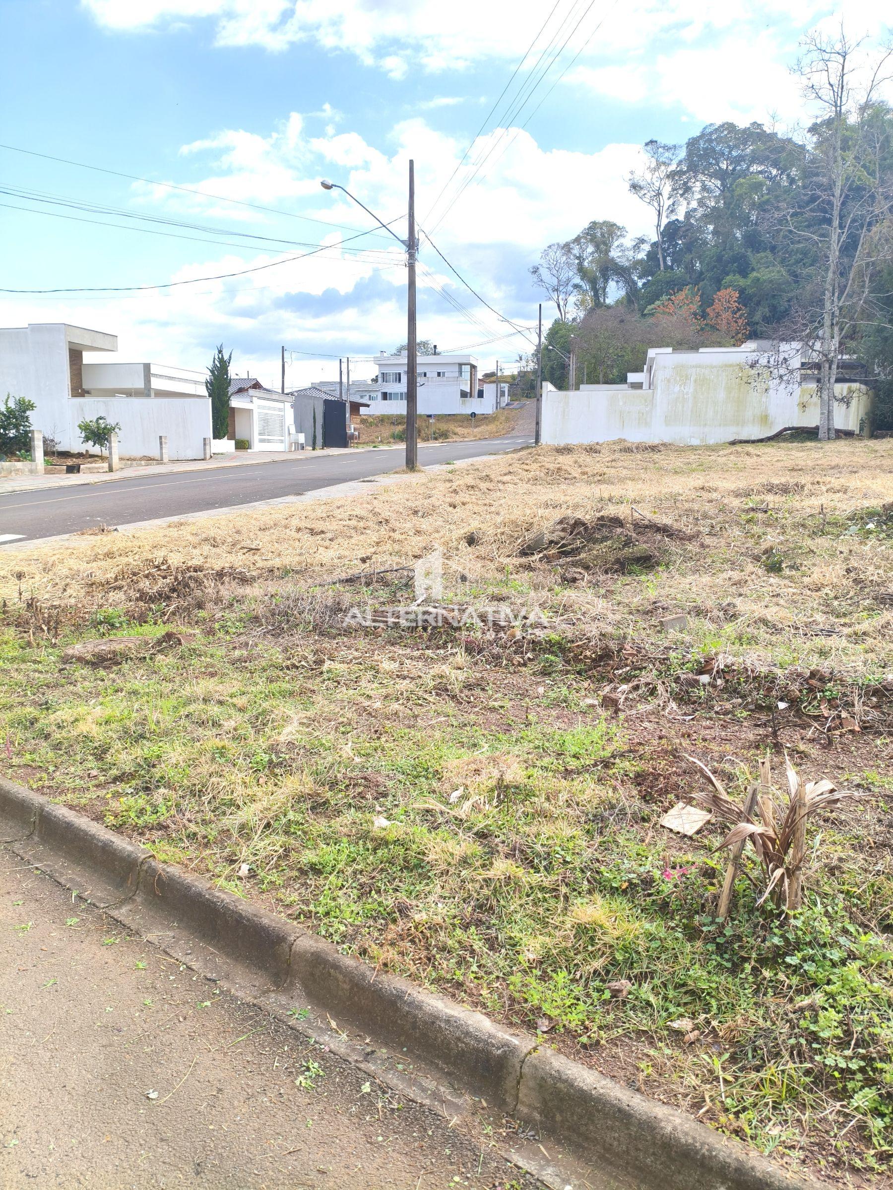 Alternativa Imveis - Imobiliria em Francisco Beltro PR