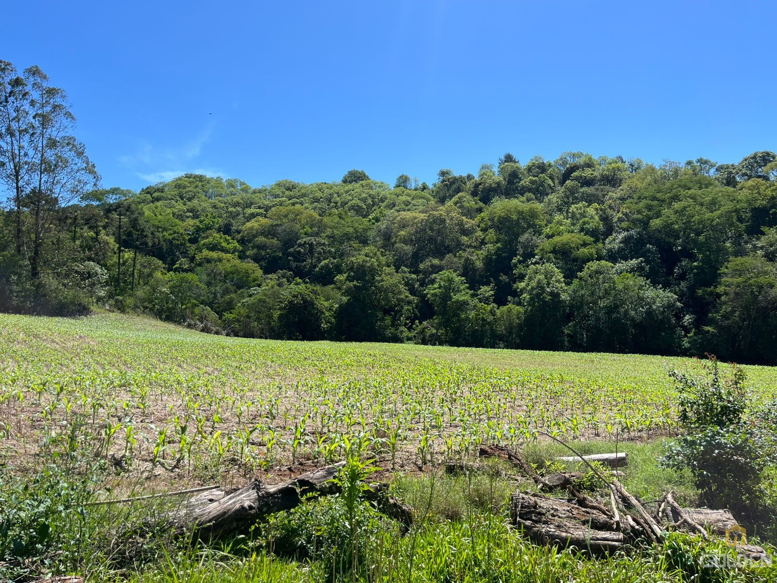 CHACARA PERTINHO DA CIDADE - ACEITA PERMUTA