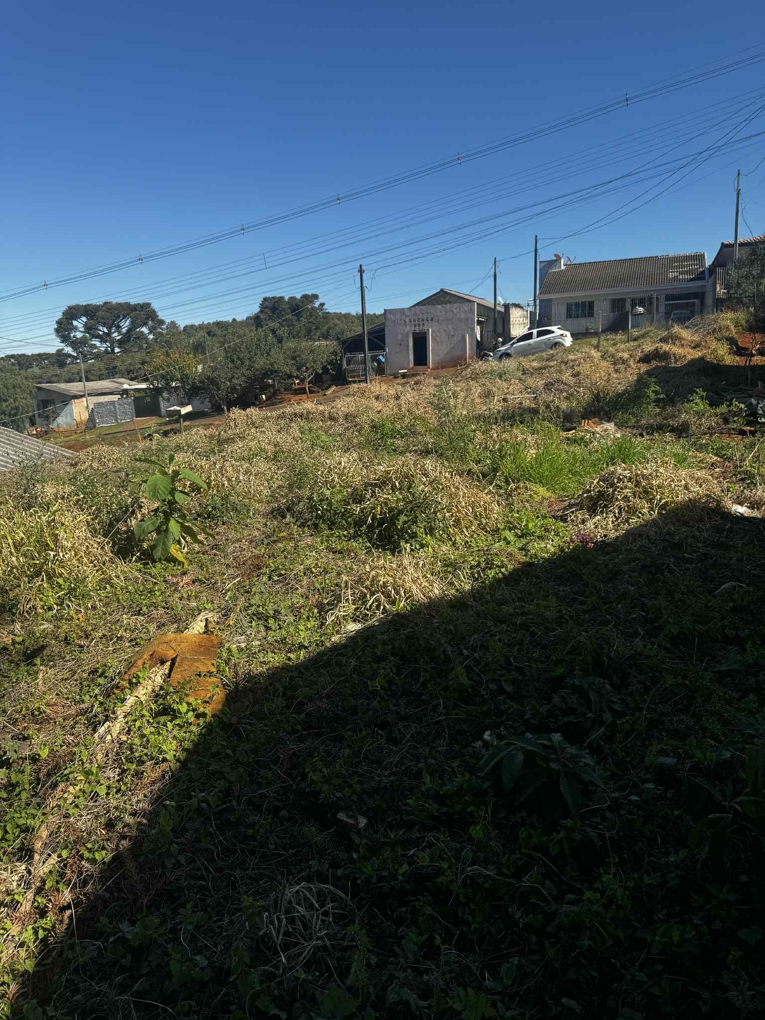 Terreno 