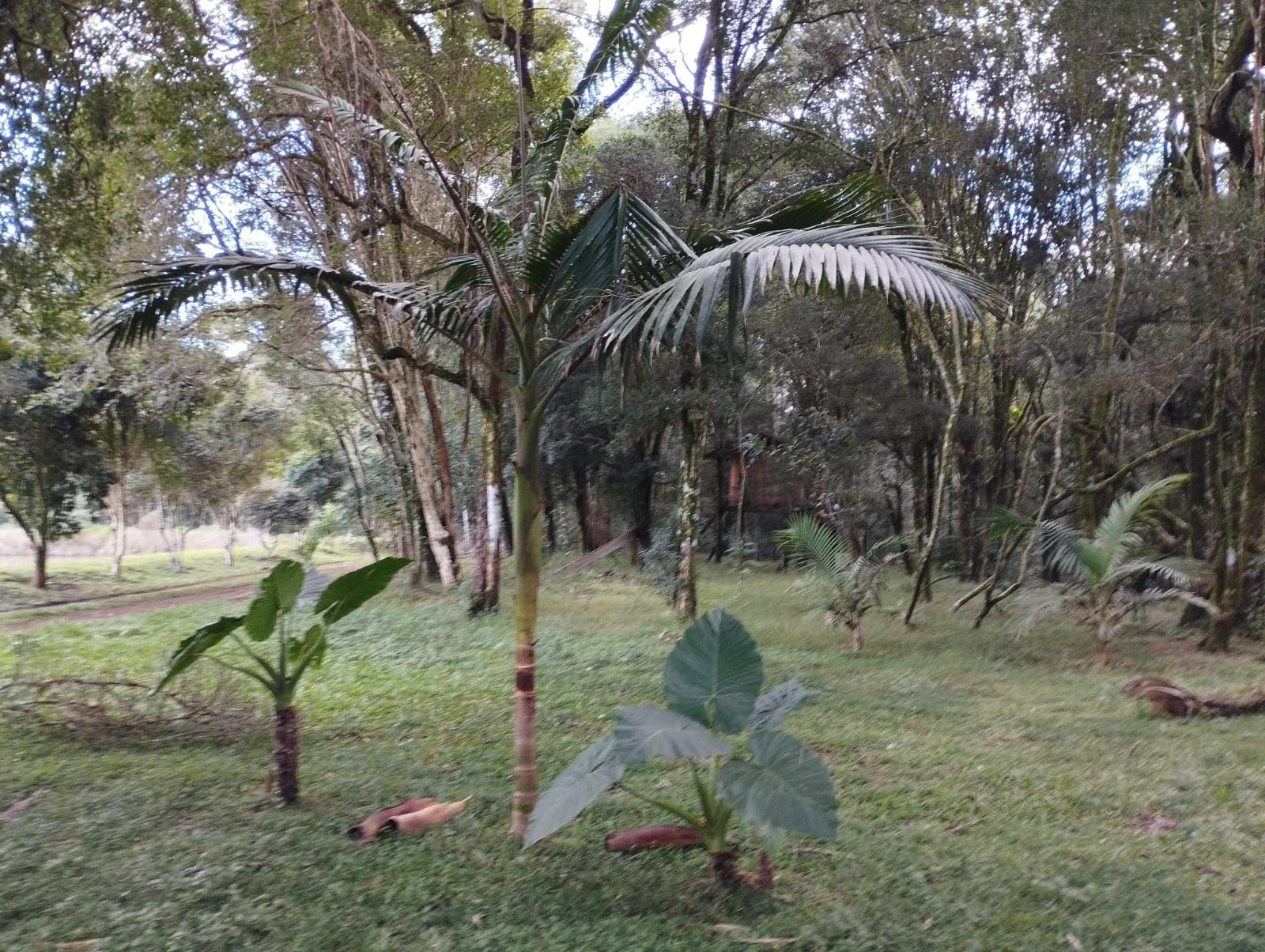 Imobili�ria JVS im�veis em Pitanga PR