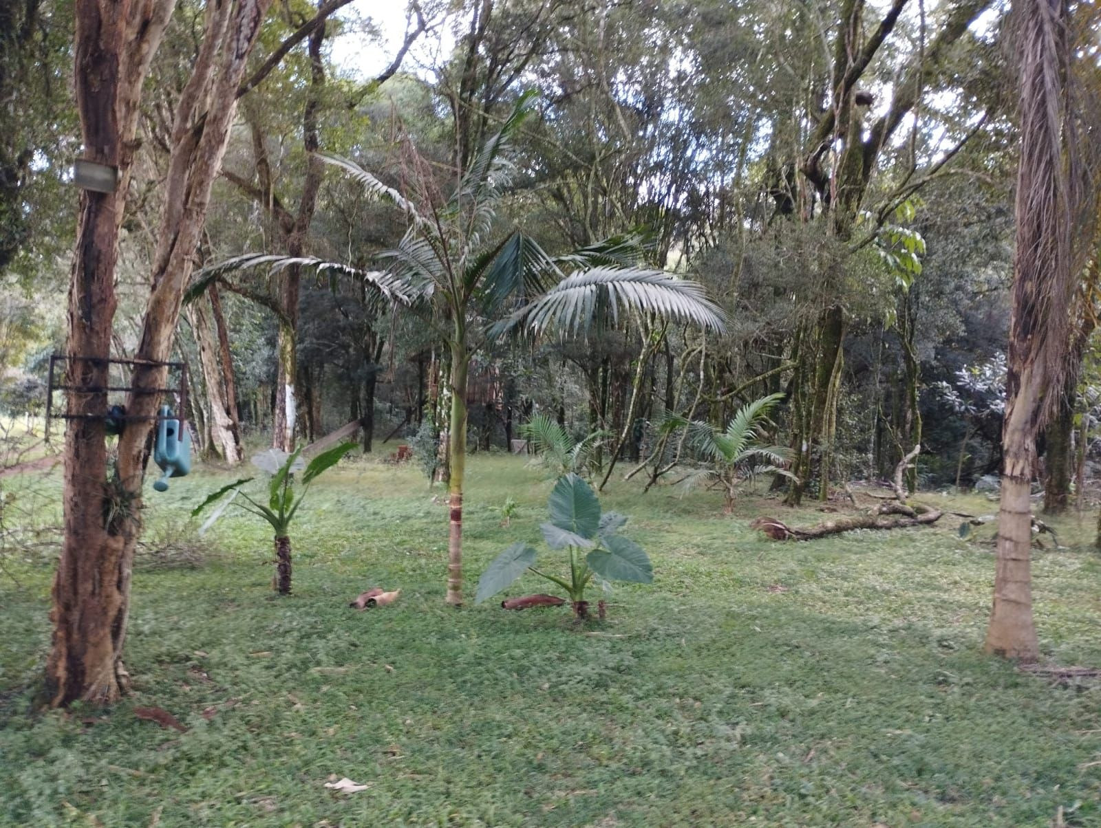 Imobili�ria JVS im�veis em Pitanga PR