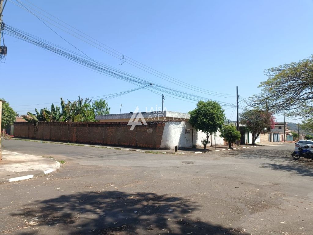 LOTE COIMBRAS 