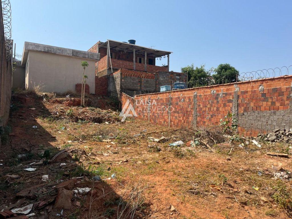 LOTE PENHA