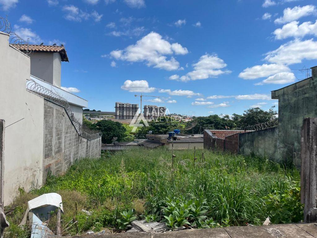 LOTE ACLIMAÇÃO