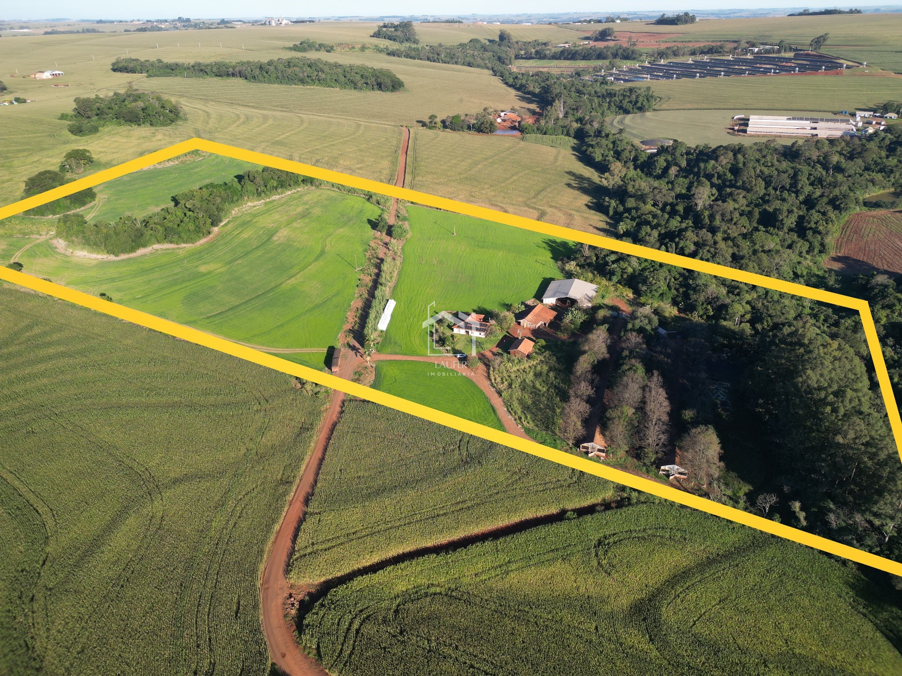 GRANJA DE PORCO PARA ENGORDA 