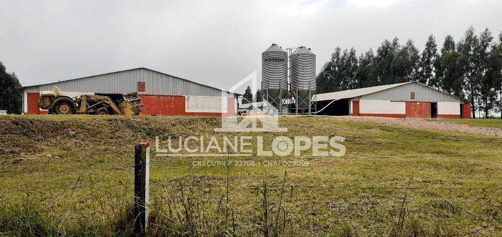 Luciane Lopes Corretora em Castro - PR