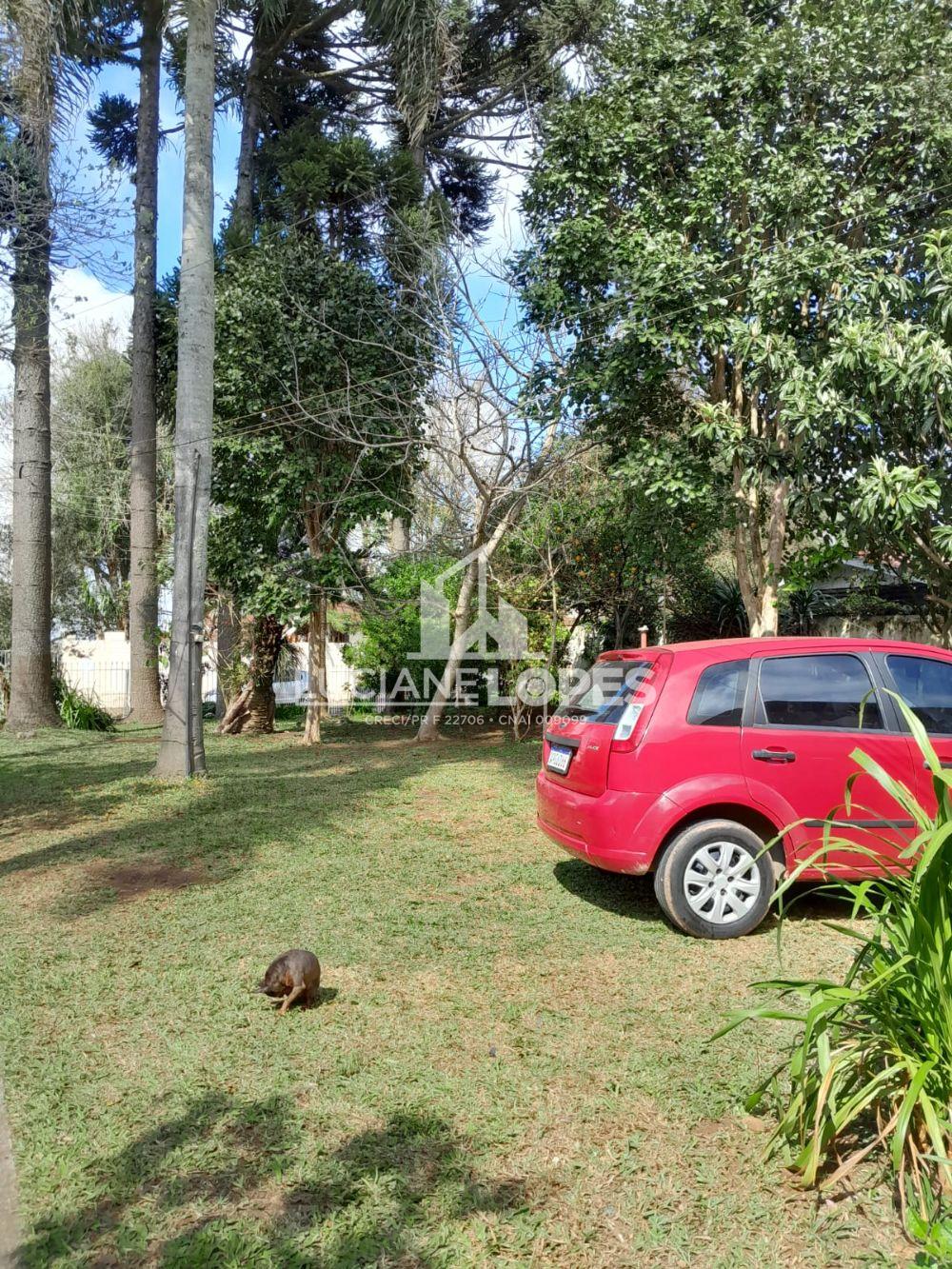 Luciane Lopes Corretora em Castro - PR
