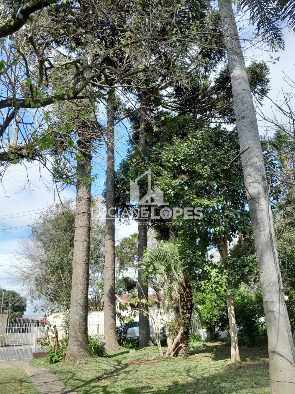 Luciane Lopes Corretora em Castro - PR