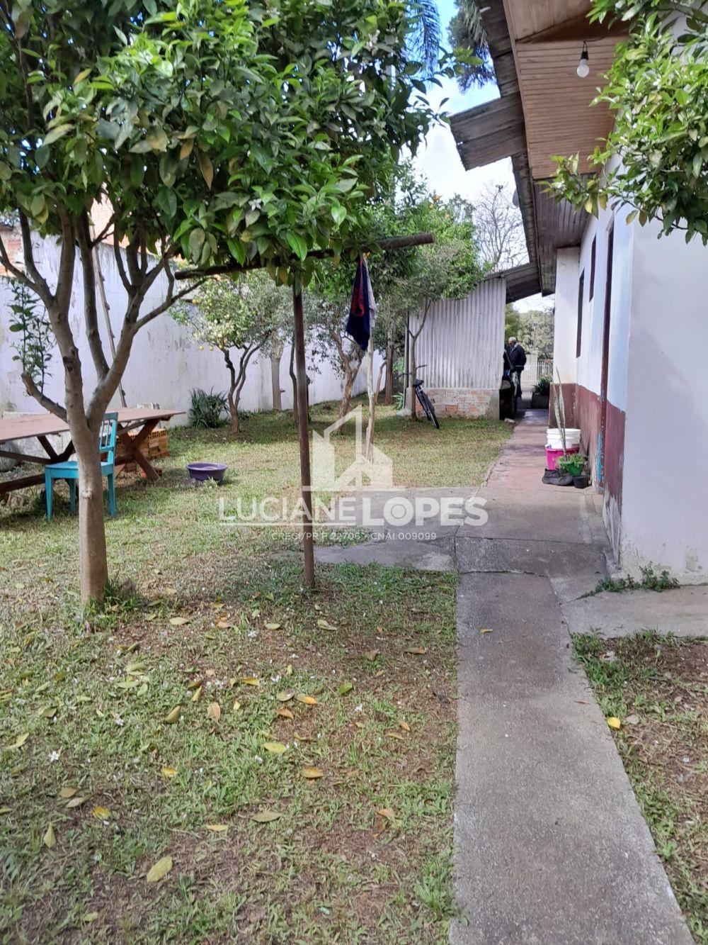 Luciane Lopes Corretora em Castro - PR