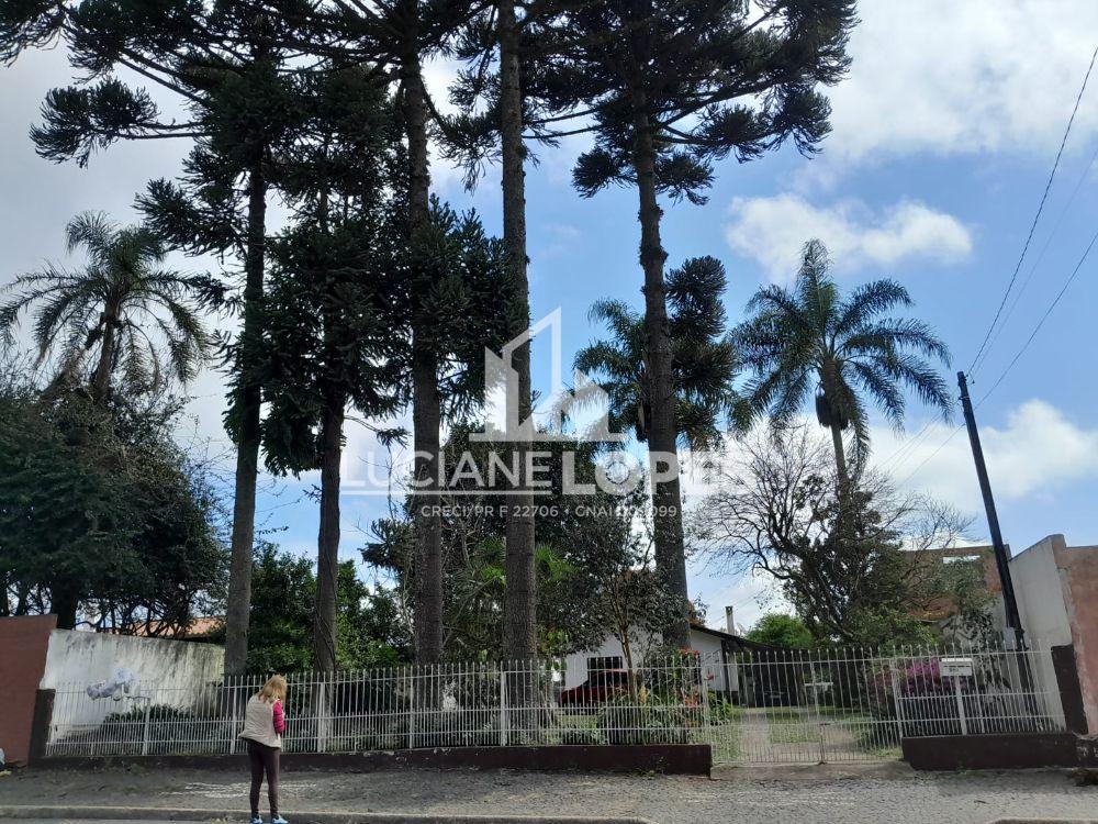 Luciane Lopes Corretora em Castro - PR