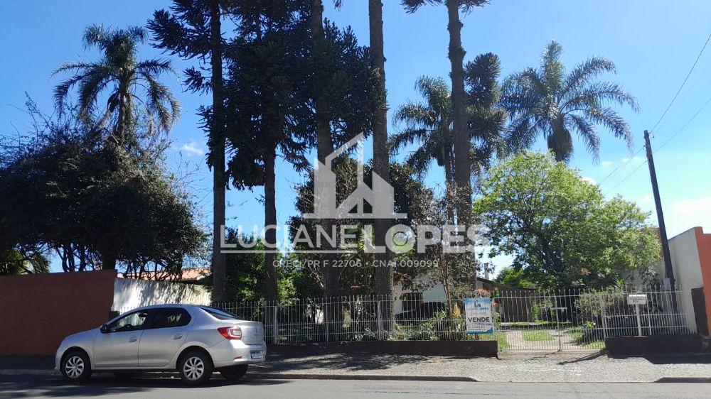 Luciane Lopes Corretora em Castro - PR