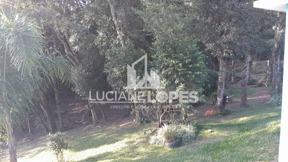 Luciane Lopes Corretora em Castro - PR