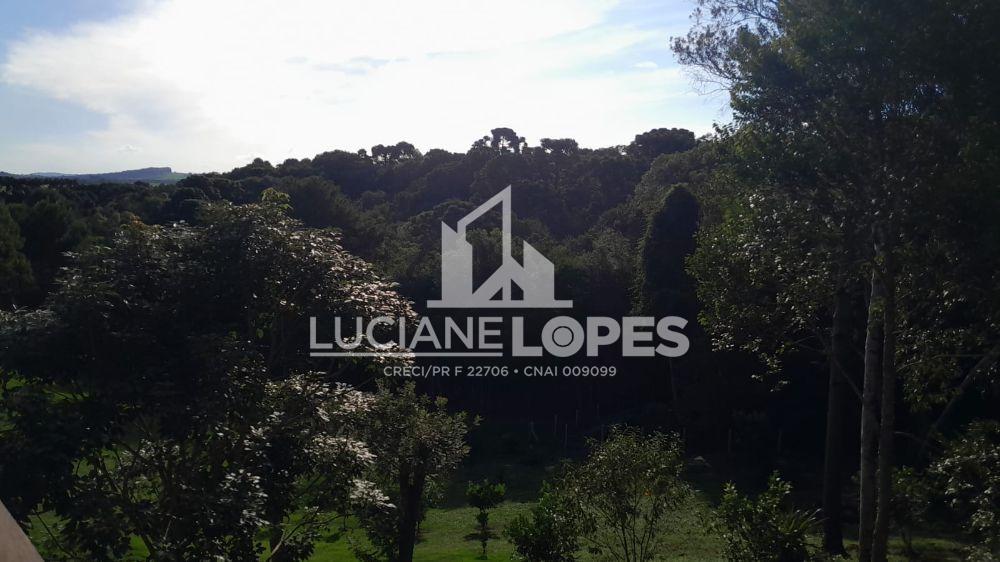 Luciane Lopes Corretora em Castro - PR