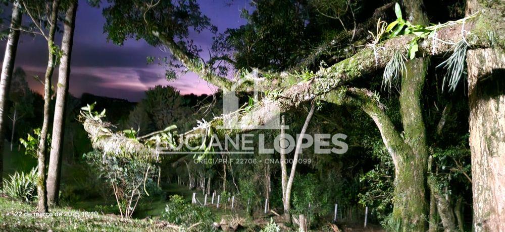 Luciane Lopes Corretora em Castro - PR