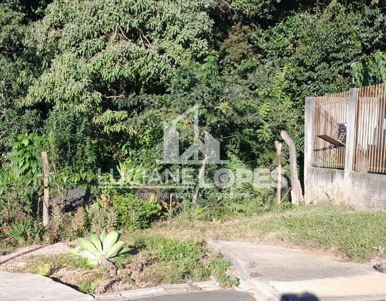 Luciane Lopes Corretora em Castro - PR