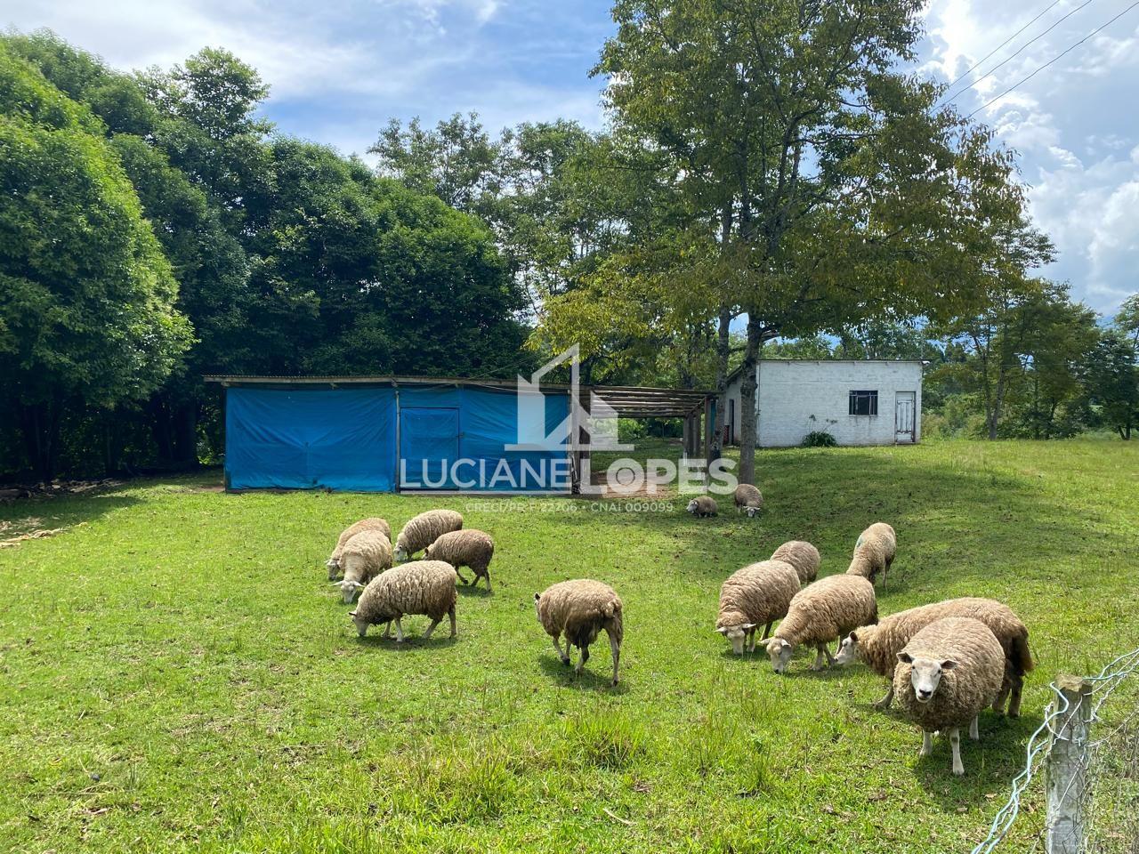 REA RURAL NO ABAPAN