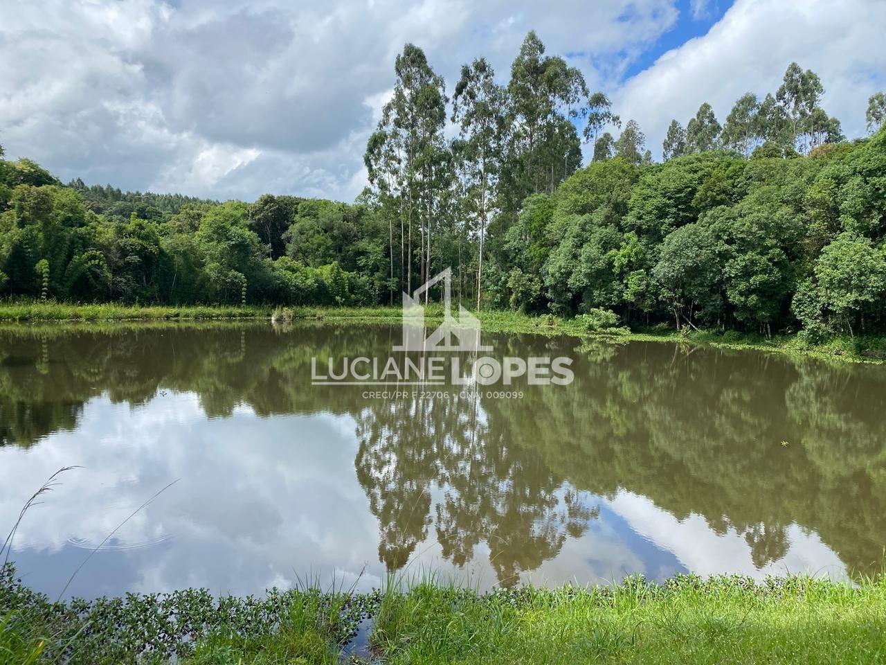 Luciane Lopes Corretora em Castro - PR