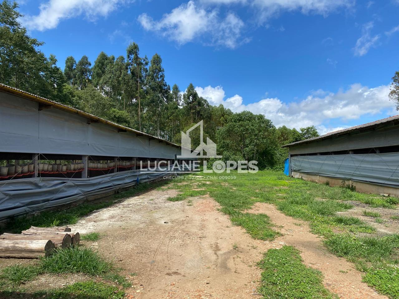 Luciane Lopes Corretora em Castro - PR