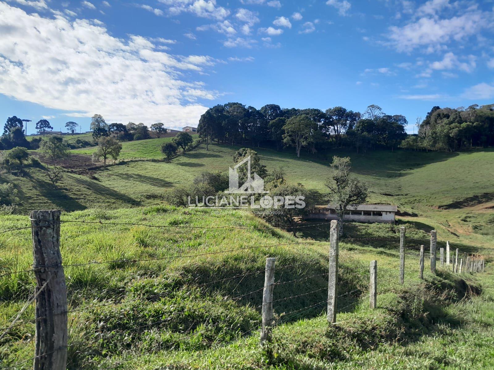 CHACARA RICA EM GUA NA SANTA LEOPOLDINA