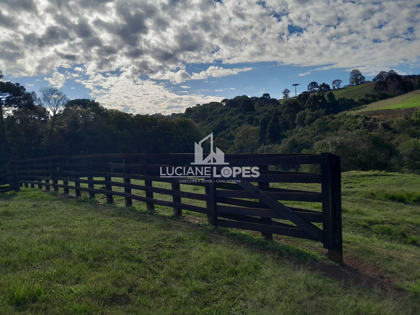 Luciane Lopes Corretora em Castro - PR