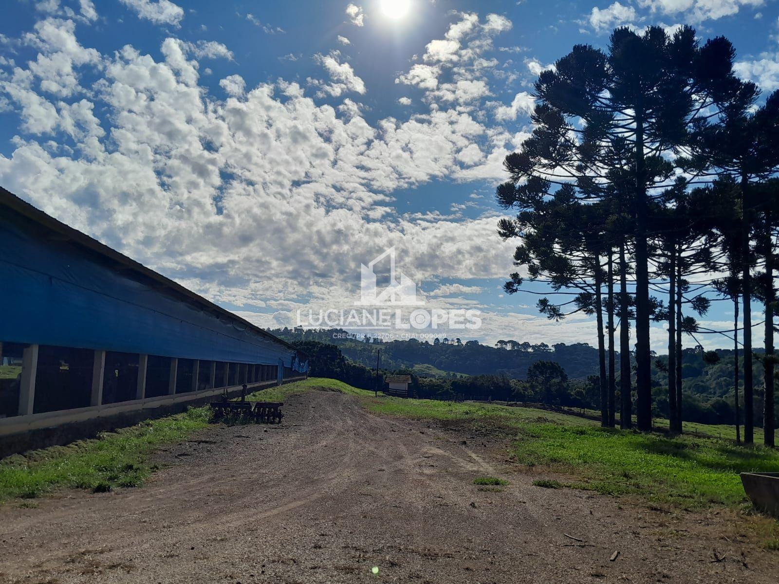 Luciane Lopes Corretora em Castro - PR