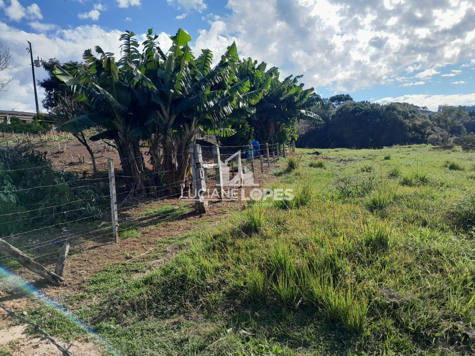 Luciane Lopes Corretora em Castro - PR