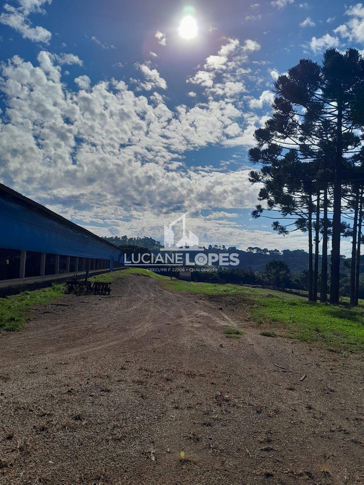 Luciane Lopes Corretora em Castro - PR