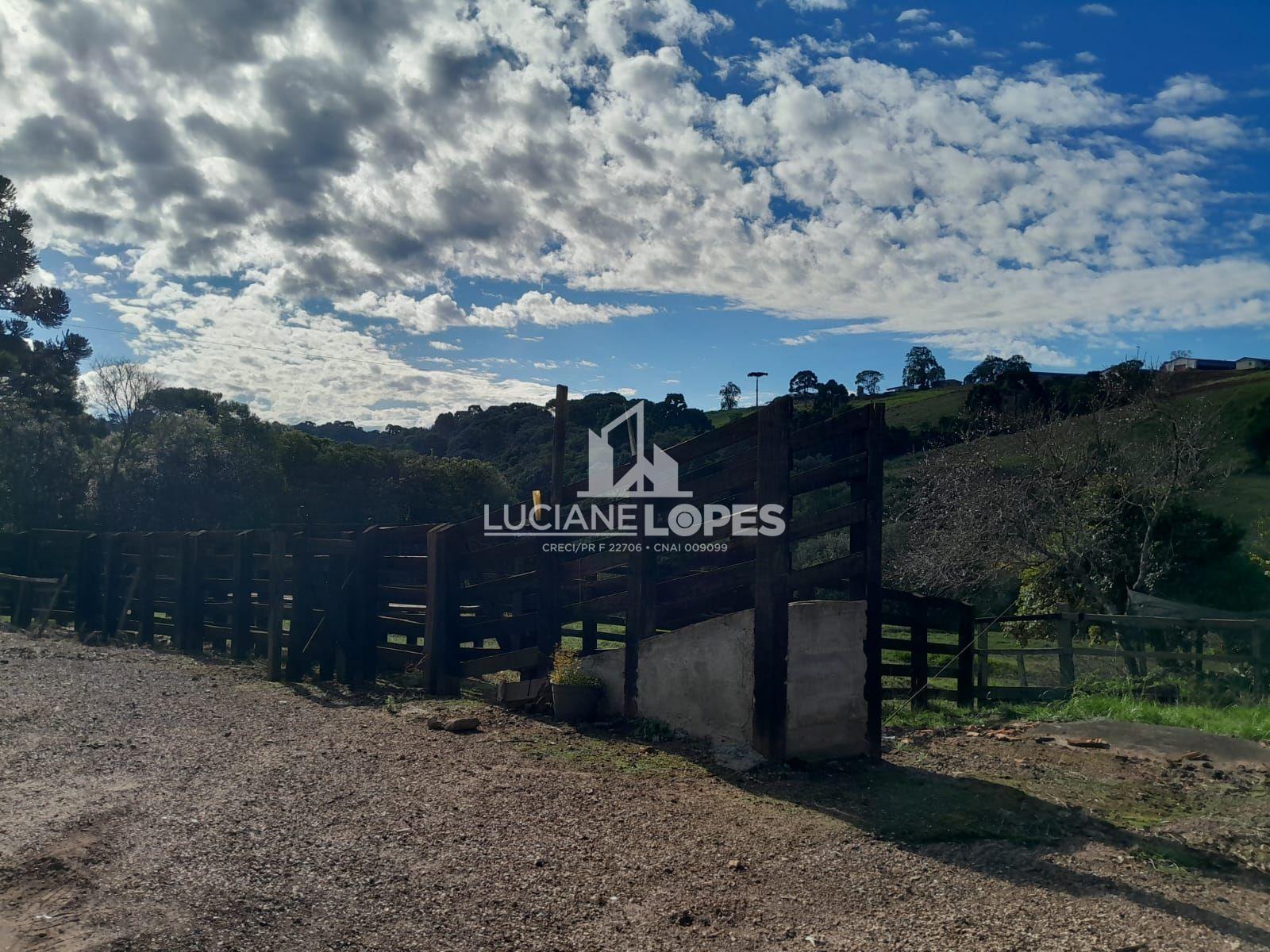 Luciane Lopes Corretora em Castro - PR