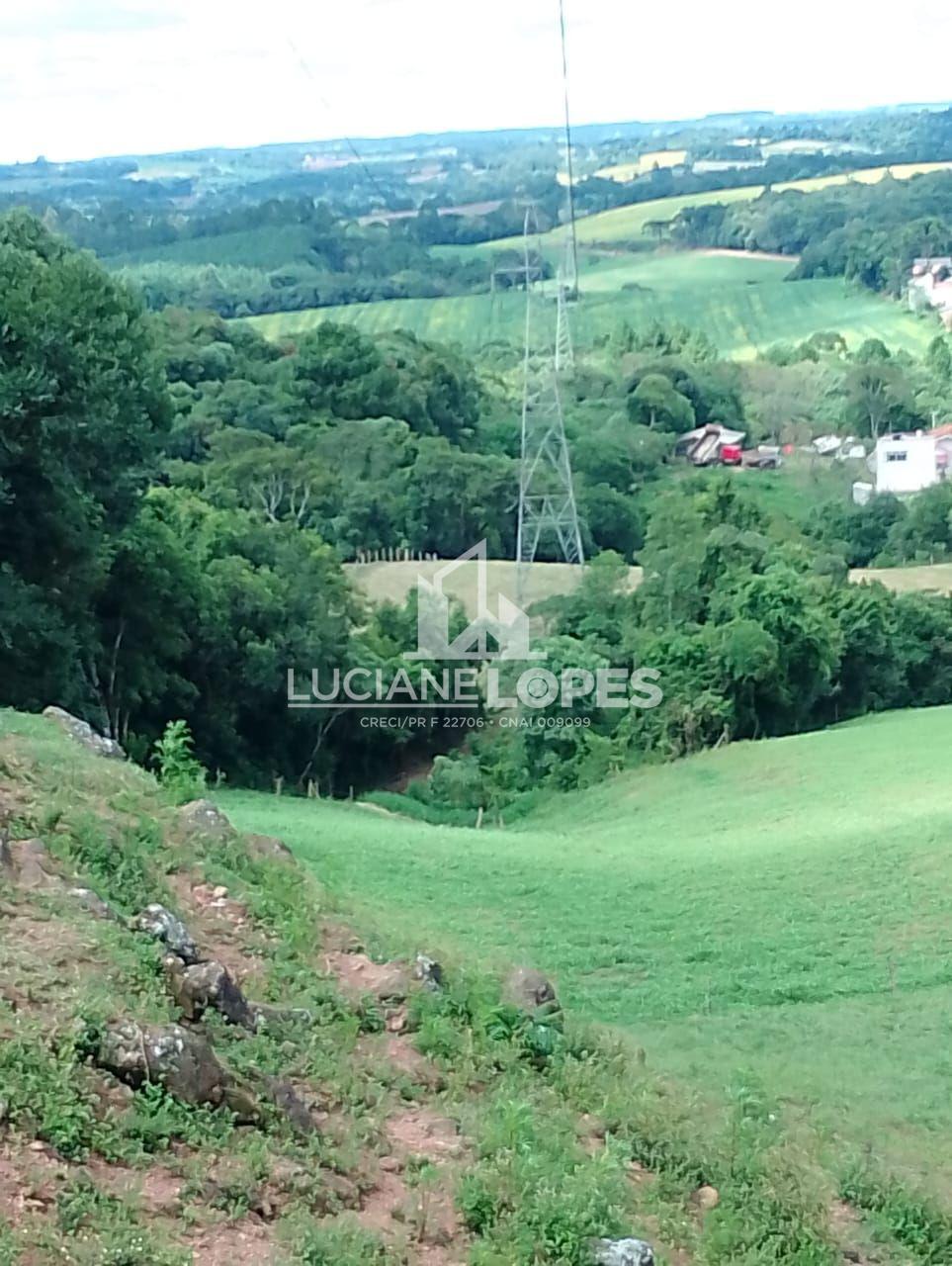 Luciane Lopes Corretora em Castro - PR