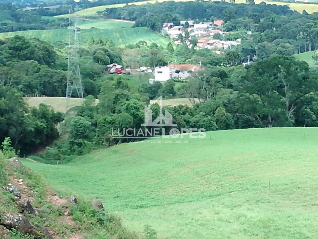 CHCARA A 01 KM DA CIDADE NA SANTA LEOPOLDINA