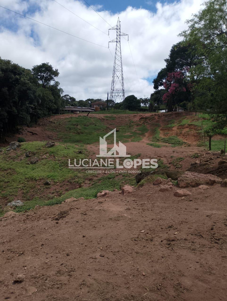 Luciane Lopes Corretora em Castro - PR