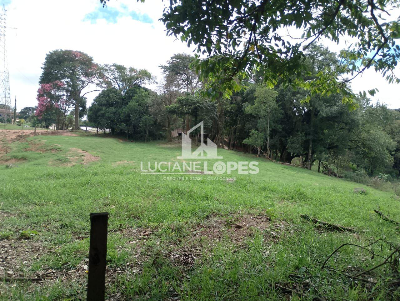 Luciane Lopes Corretora em Castro - PR