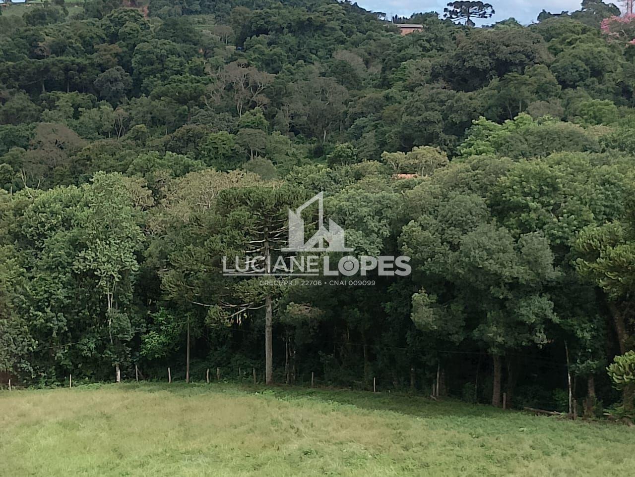 Luciane Lopes Corretora em Castro - PR