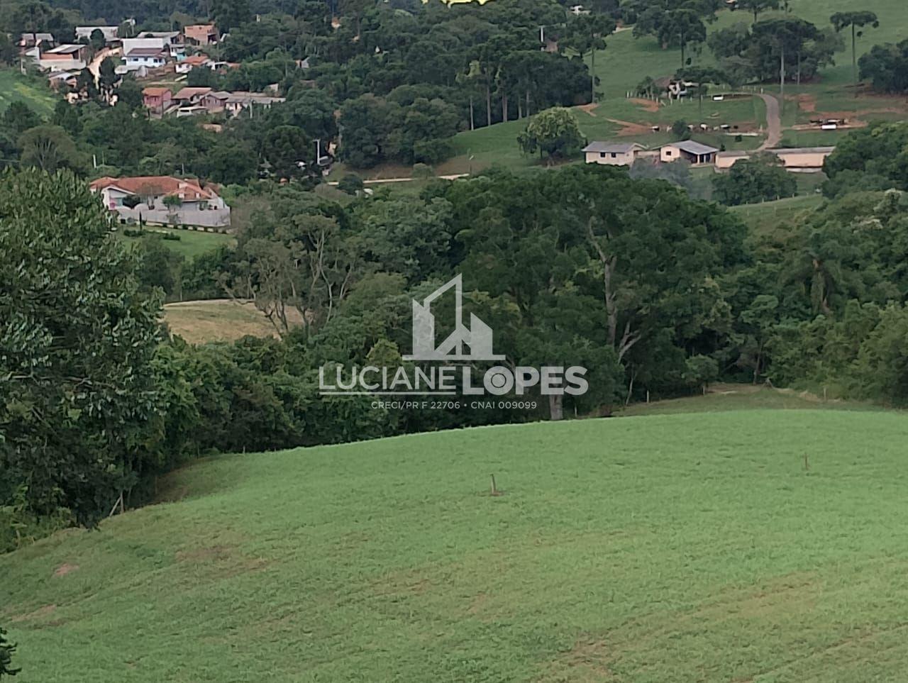 Luciane Lopes Corretora em Castro - PR